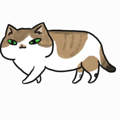 猫島のねこ