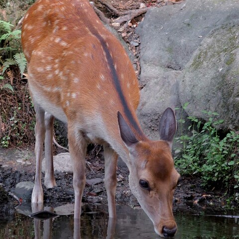 写真撮影