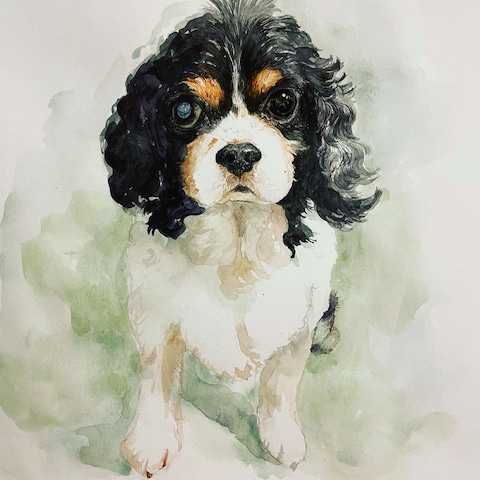 動物水彩画