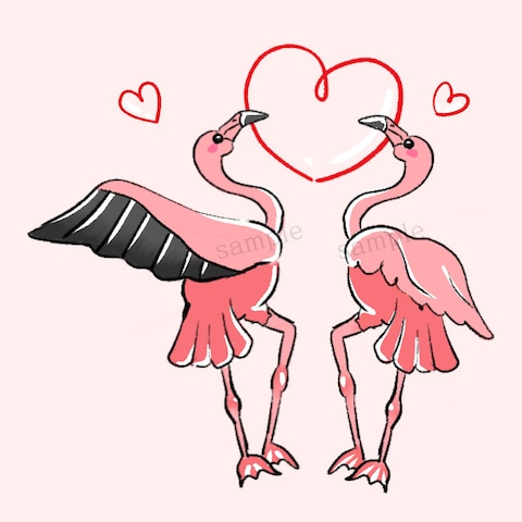 フラミンゴ
