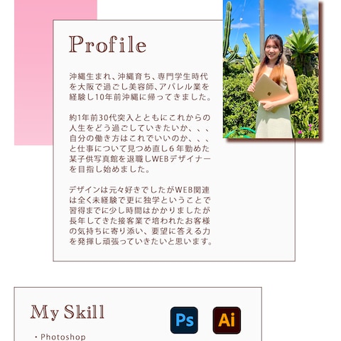 portfolio profile/skill