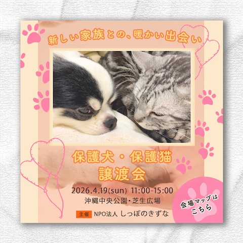 保護犬・保護猫譲渡会バナー