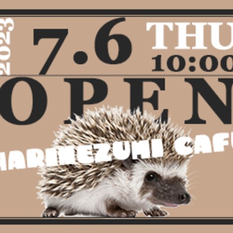 ハリネズミカフェ