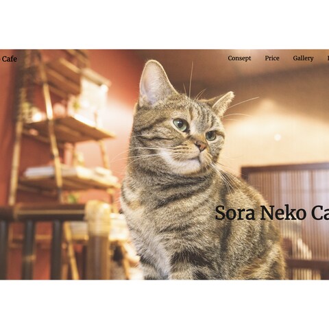 猫カフェのサイト