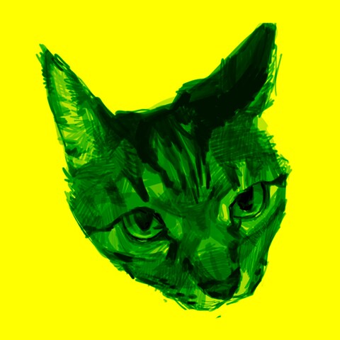 猫のリアルイラスト