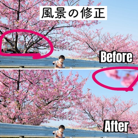 風景の修正