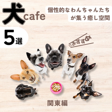 インスタグラム