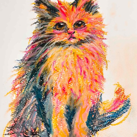 愛猫
