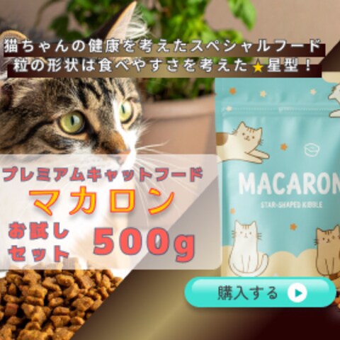 キャットフード販促バナー