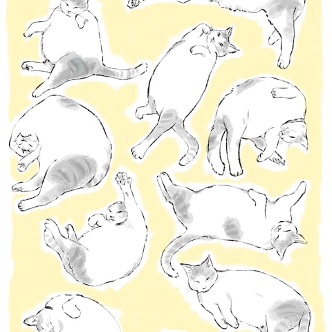 猫いっぱいポストカードサンプル