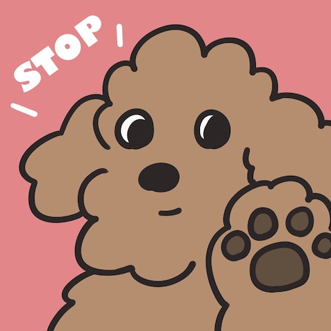 ポップな動物イラスト