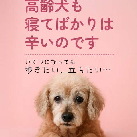 Instagram画像制作　広告用