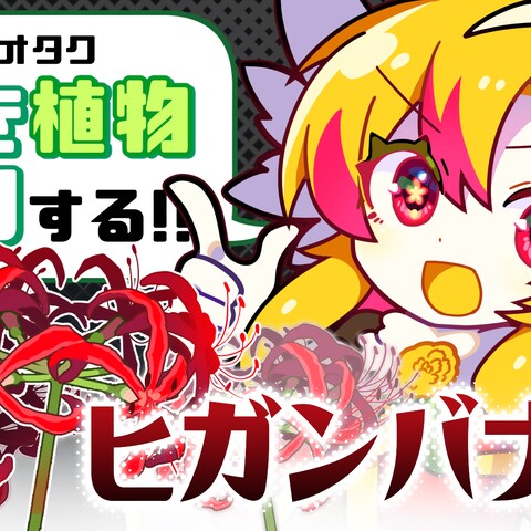 配信動画サムネイル1