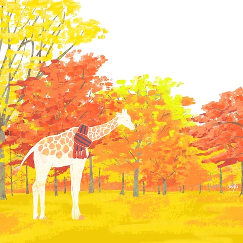 秋の紅葉する樹木のイラスト