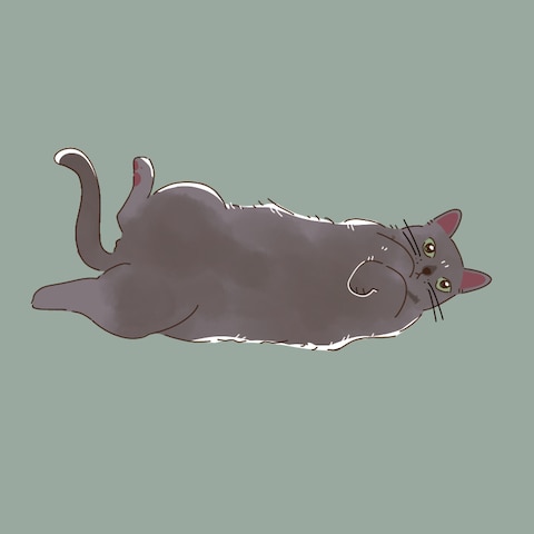 ペットの似顔絵イラスト(猫)