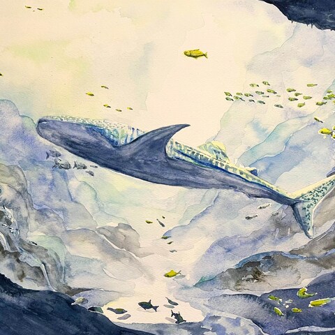 深海（アナログ水彩画）