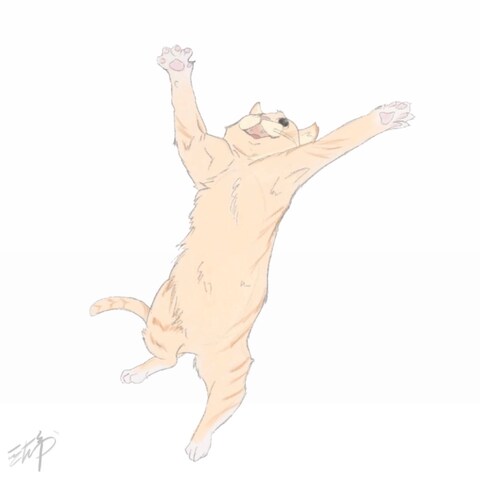 全力でハグを求める茶トラ
