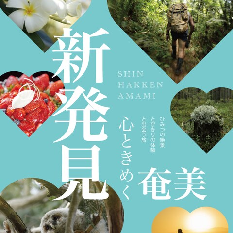 旅行会社様のチラシデザイン作成