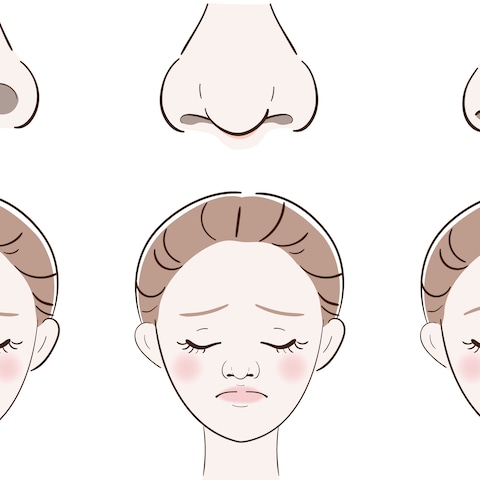 美容外科の鼻整形で使用する「色々な鼻の形のイラスト」