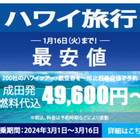 旅行キャンペーンのバナー広告です