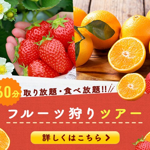 フルーツ狩り
