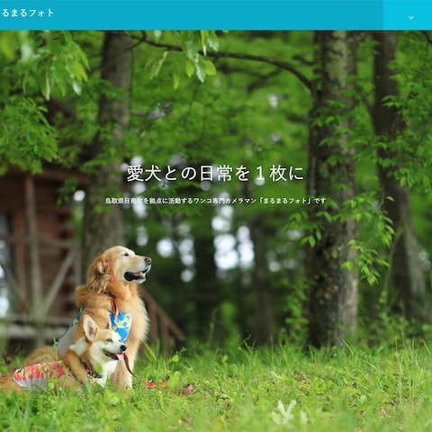 個人（カメラマン）サイト作成