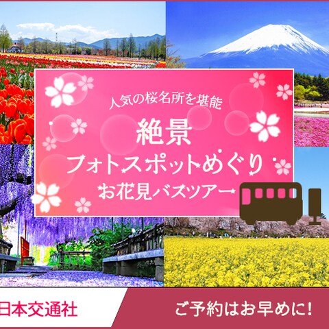 バナー：お花見バスツアー