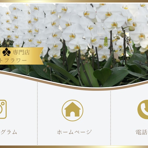 胡蝶蘭専門店ギフトフラワー様リッチメニュー