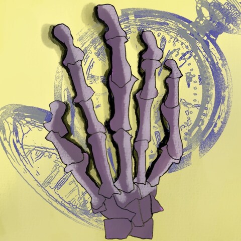 骸骨の手
