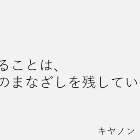 canon EOS KISSコピー