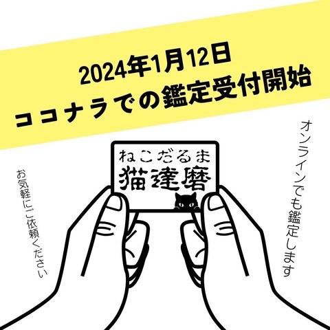 2024年1月12日からココナラでの鑑定受付開始