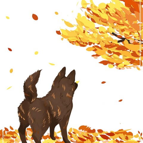 秋甲斐犬さま