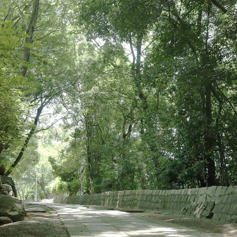 風景素材撮影
