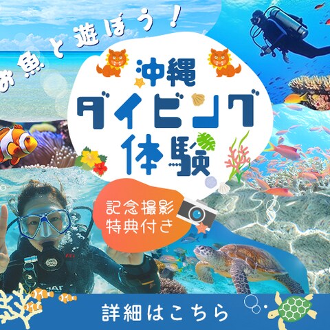 バナー：ダイビング体験