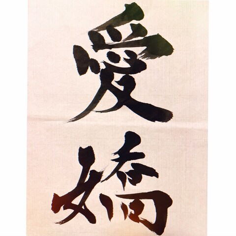 サザンカ（白）の花言葉