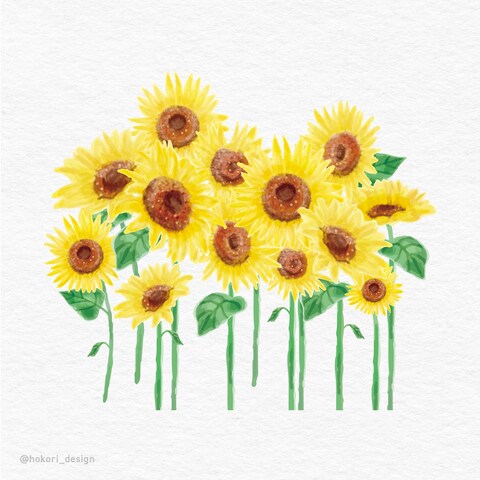 水彩画のリアルタッチひまわりのイラストを描きました