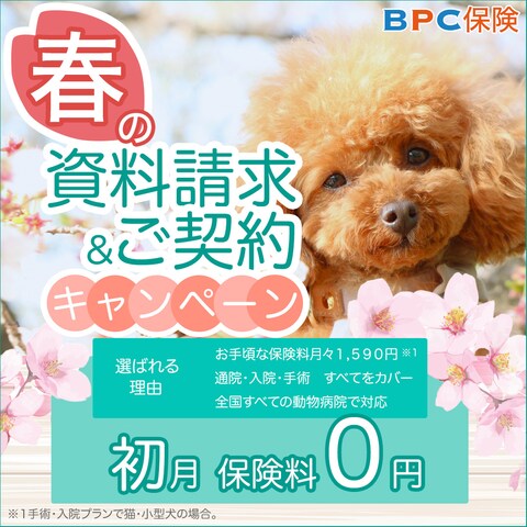 ペット保険