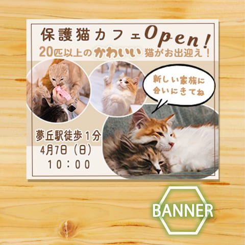 保護猫カフェのオープン告知