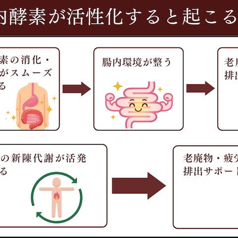 図解制作