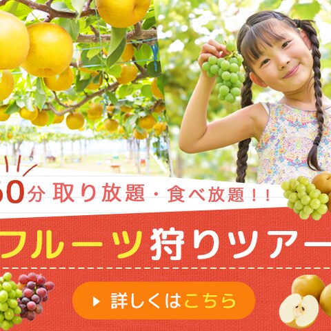バナー：フルーツ狩り