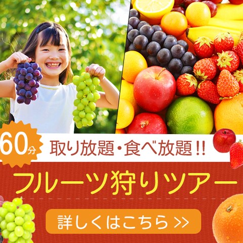 フルーツ狩りツアー