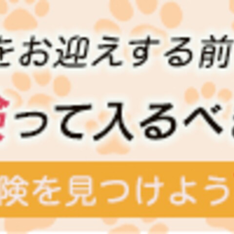 ペット保険バナー