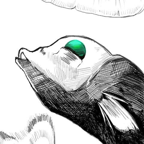 上を見続けろ