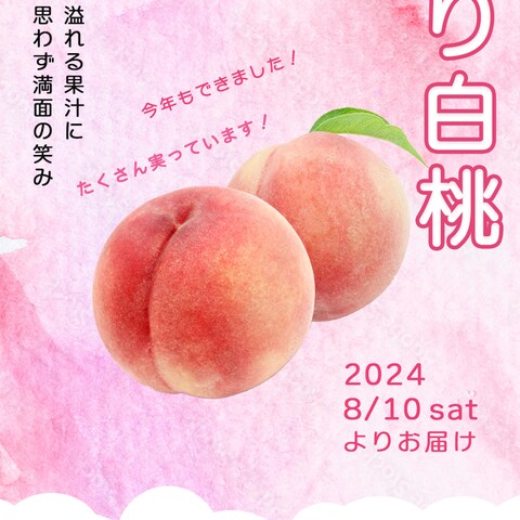 もも農園の果汁たっぷり白桃