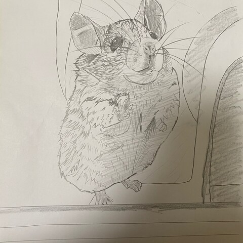 にっこりカイロトゲマウス