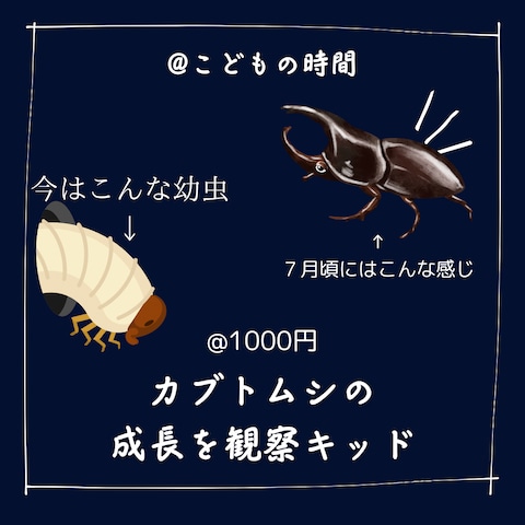 子育てイベント SNS代行