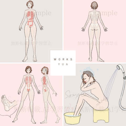 エステ教材用挿絵
