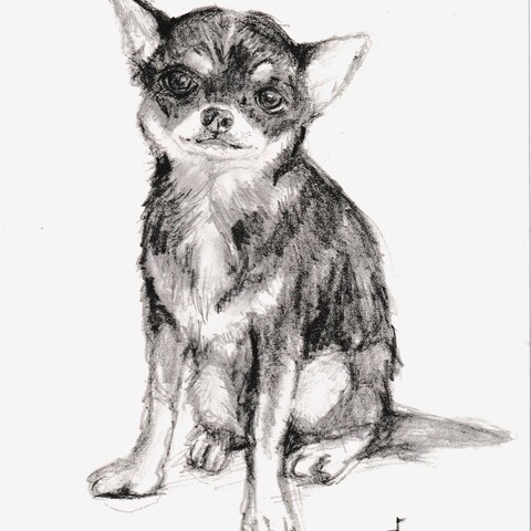 犬のイラスト