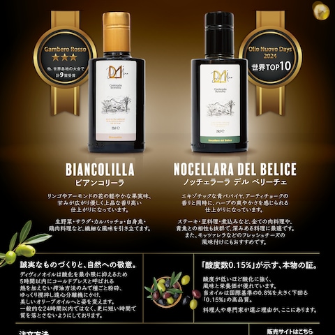 オリーブオイル商品紹介用のチラシ