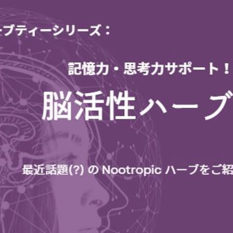 【活動紹介】ハーブ活用ワークショップ